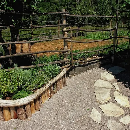 Garden House Rozi 펜션 Roč